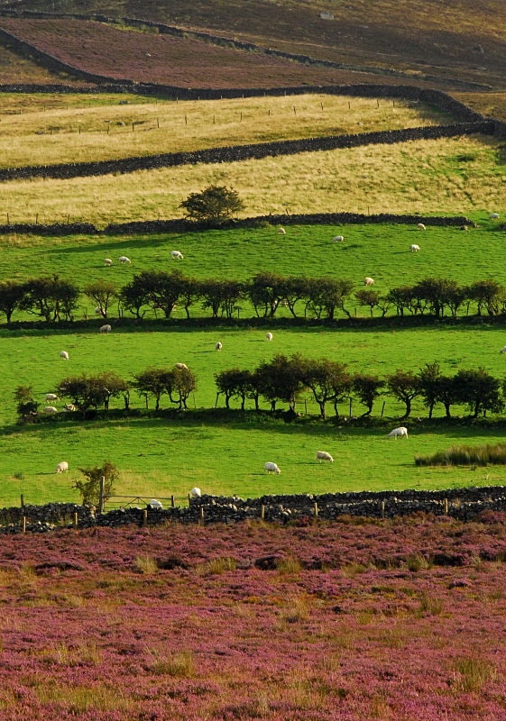 Bwlch y Mawn - Rural