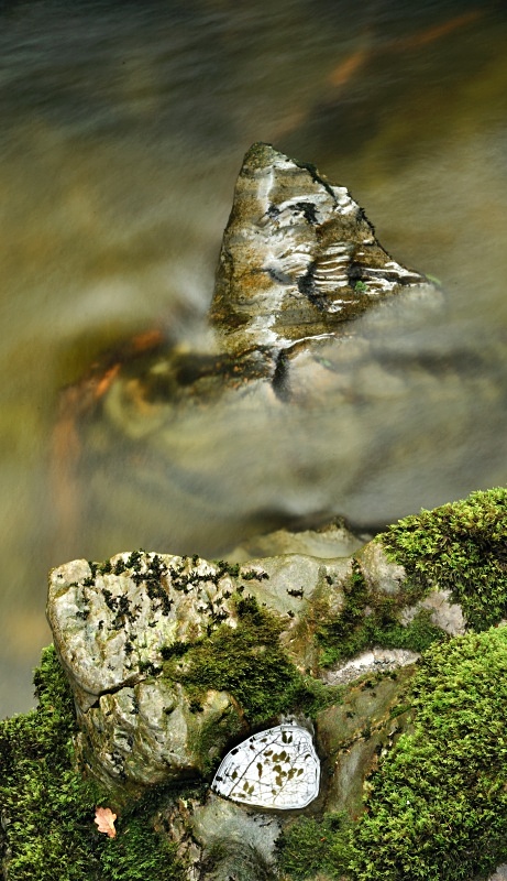 Afon Ystwyth