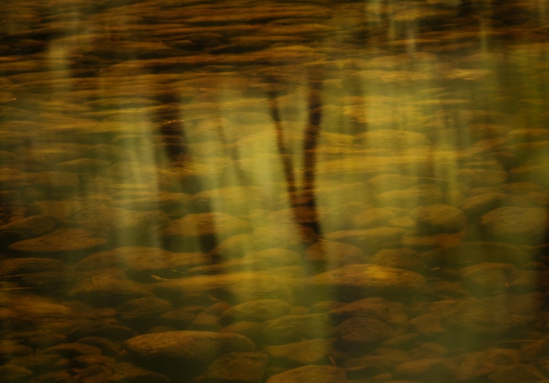 River Cannich - Freshwater 1