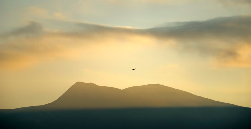 sunrise with raven - Yr Elen