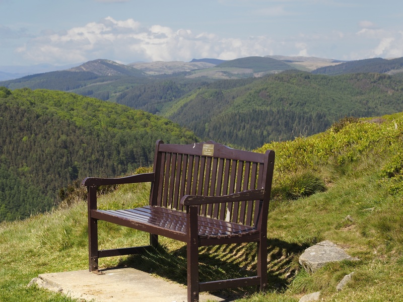 Foel Faner - Fragile land 2