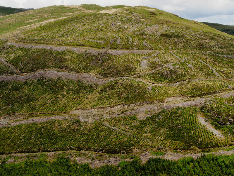Esgair Uchaf, above Pennal - Fragile Land