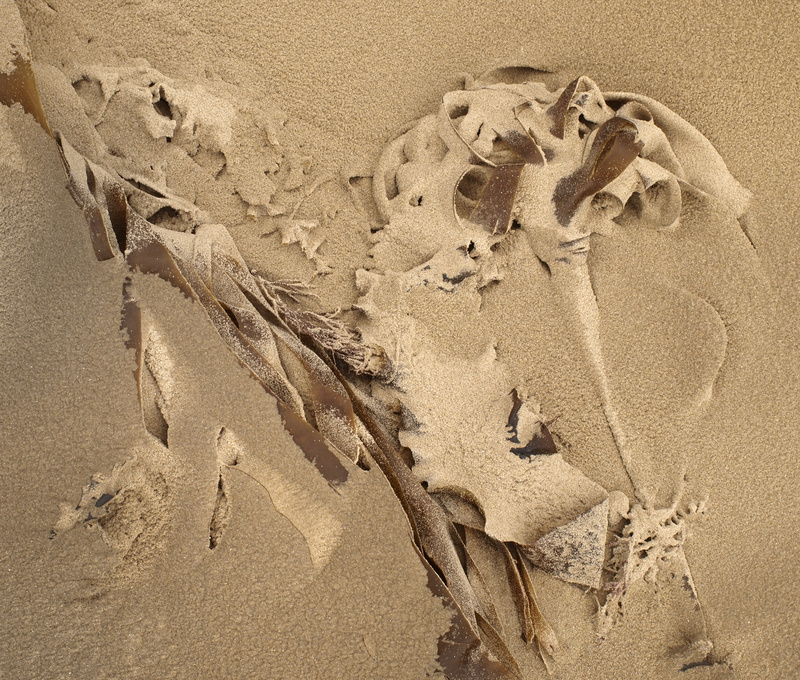 Traeth Dinlle 7 - Sea and seashore