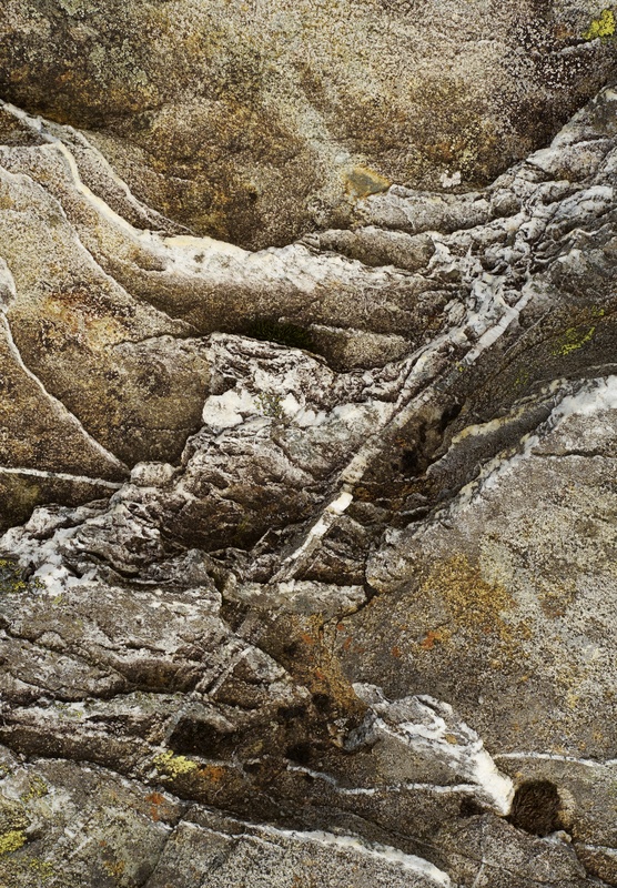 on Elidir Fach - Detail