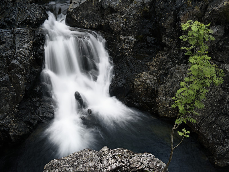 Esk Falls - Freshwater 1