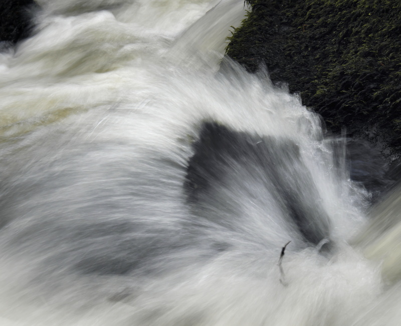 Galedffrwd 9 - Freshwater 2