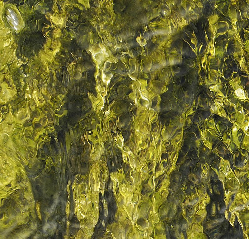 Afon Llafar - Freshwater 1