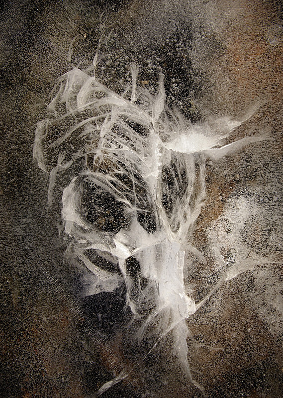 ice on rock, Maen du'r Arddu - Freshwater 1