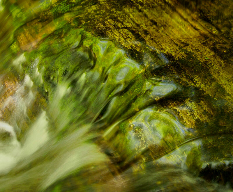 Afon Cletwr - Freshwater 2