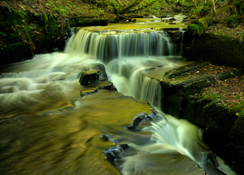 Afon Aled - Freshwater 2