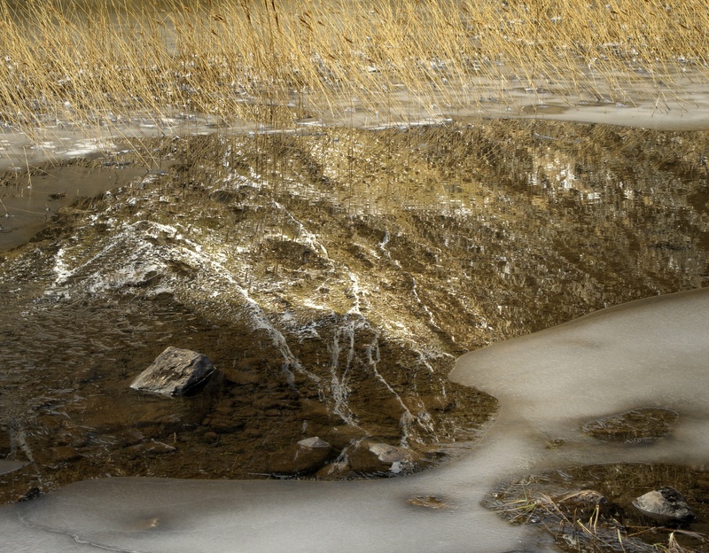 Llyn Idwal 4 - Freshwater 1
