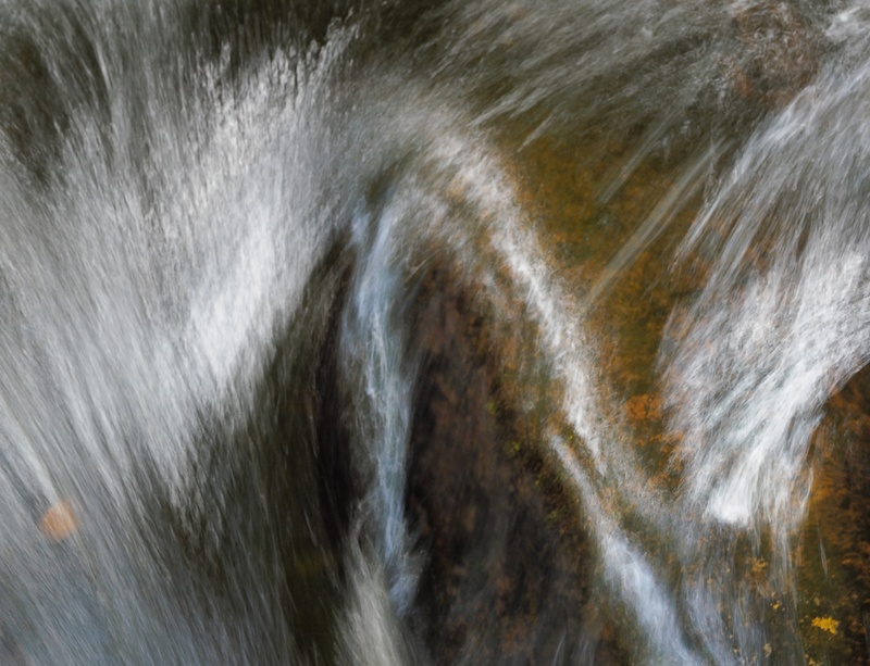 Galedffrwd - Freshwater 2