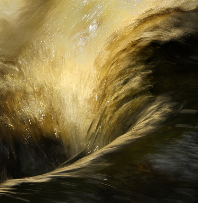 Galedffrwd 5 - Freshwater 1