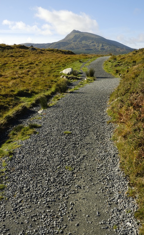 Nant y Geuallt - Fragile land 2