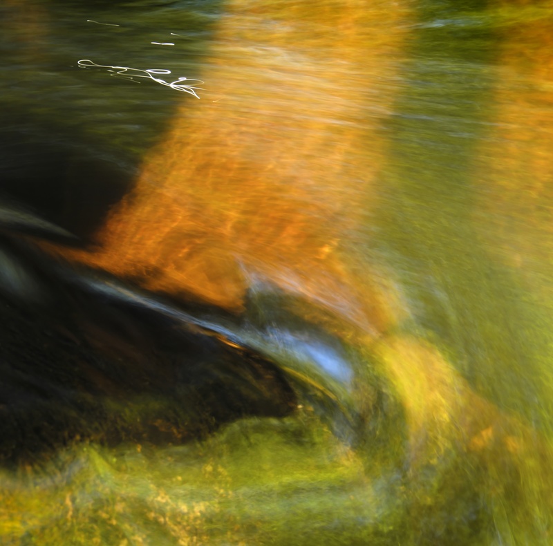 Galedffrwd 2 - Freshwater 2