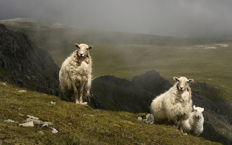 above Cwm Eigiau - Rural