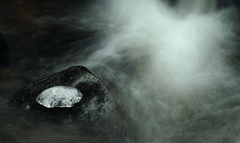 Galedffrwd 6 - Freshwater 2