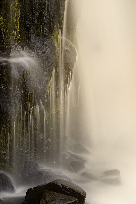 Swaledale - Freshwater 2