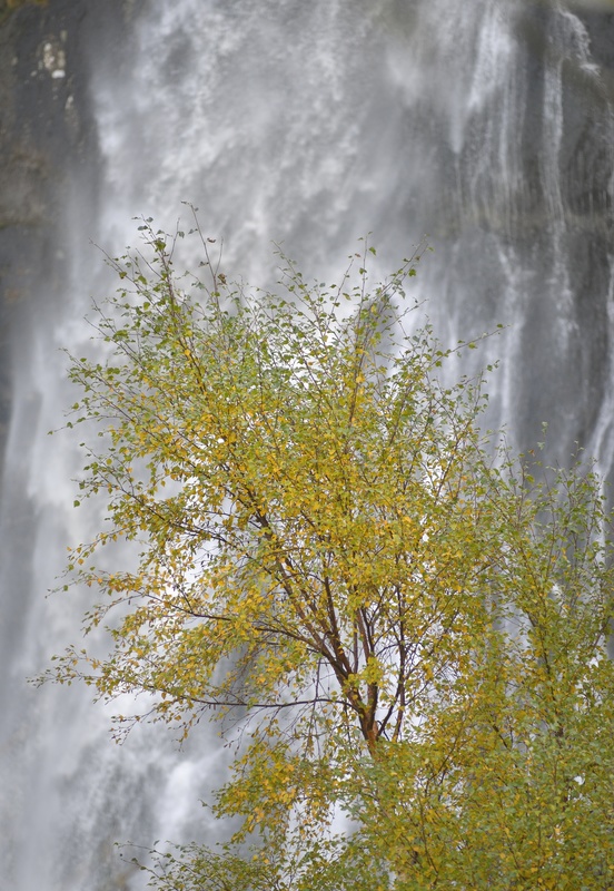 Rhaeadr Fawr - Freshwater 1