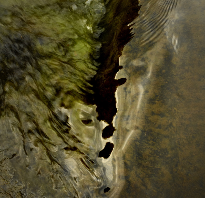 River Cannich - Freshwater 2