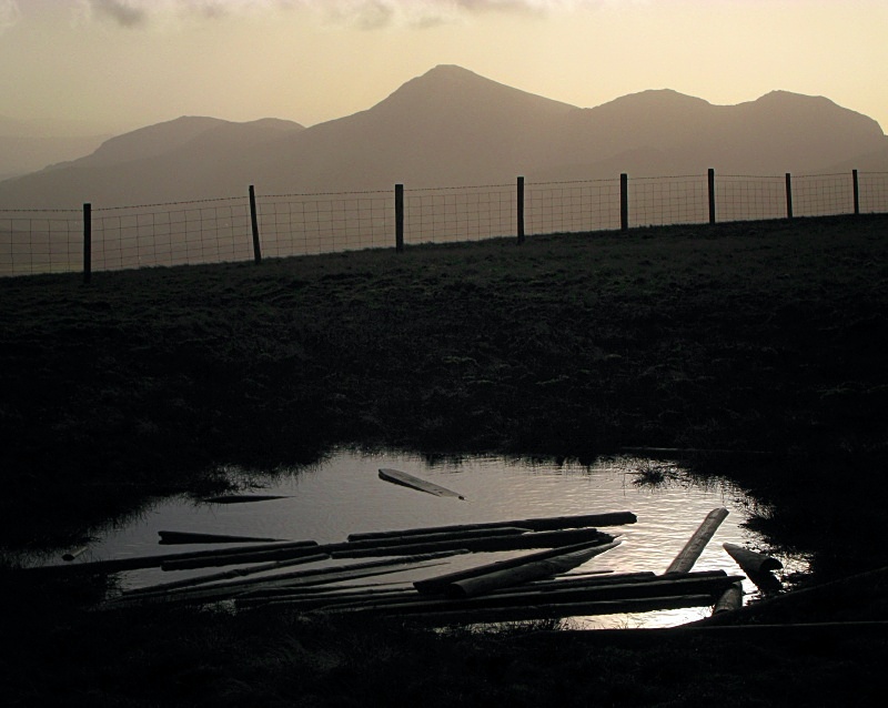 Moel Eilio - Fragile Land