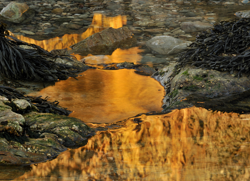 by Ynys y Fydlyn - Sea and seashore