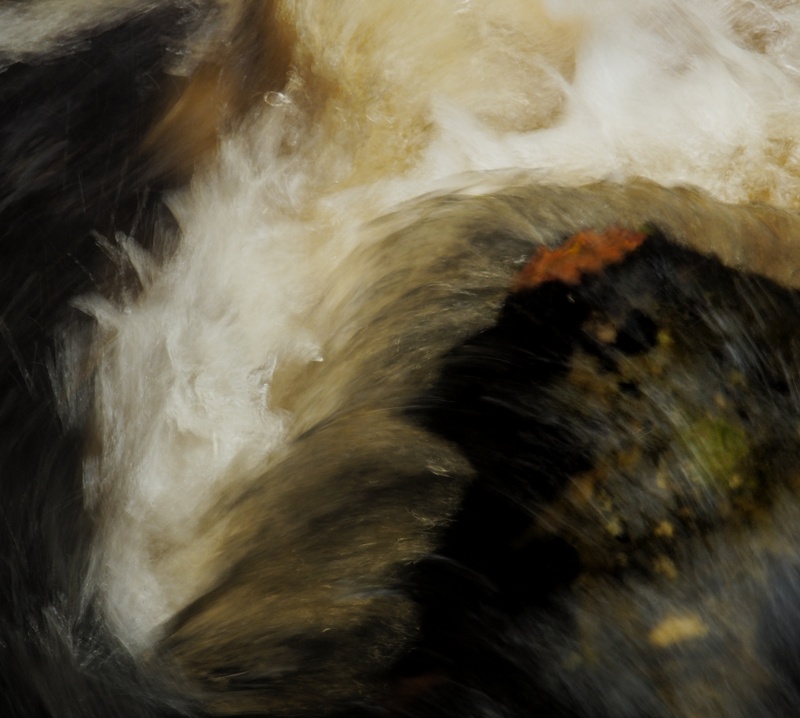 Galedffrwd 11 - Freshwater 2