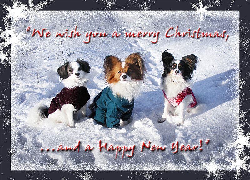 X28 'We wish you....' - Examples of Papillonpourri Christmas Cards