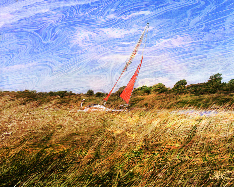 NB3  Speeding through the Reeds - Moods and Magic of the Norfolk Broads