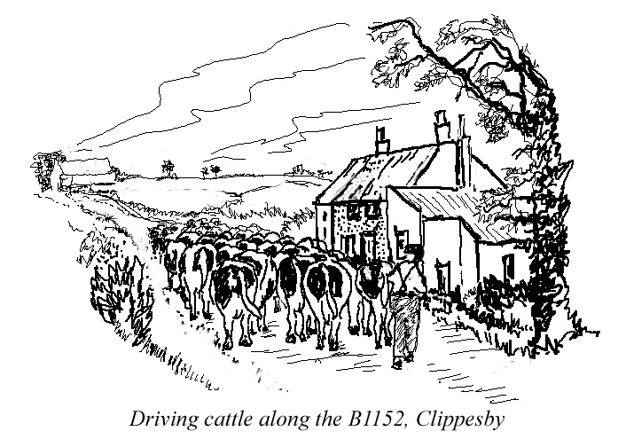 Driving cattle - Drawings and Sketches