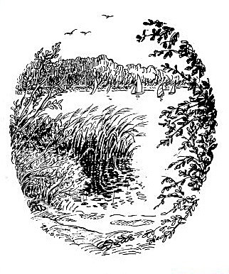 Rollesby Broad - Drawings and Sketches