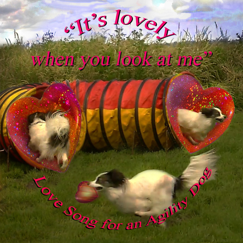 DVD Cover - Video - Love Song for an Agility Dog