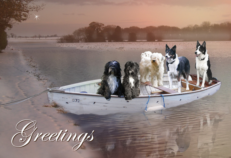 X38 Five in a boat - Examples of Papillonpourri Christmas Cards