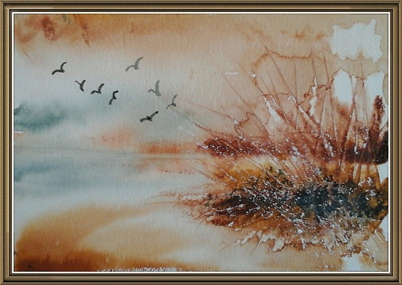 SM19  A burst of energy - Senior Moments - freehand watercolours