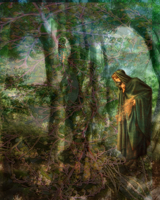 F32 Dilemma 10 x 8 - Imaginative, Meditative or Mystical