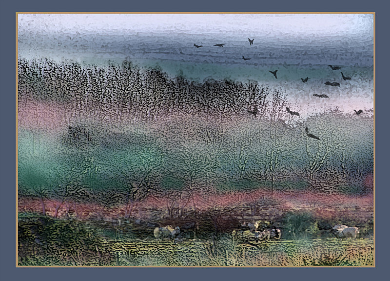 A winter landscape - General Greetings Cards