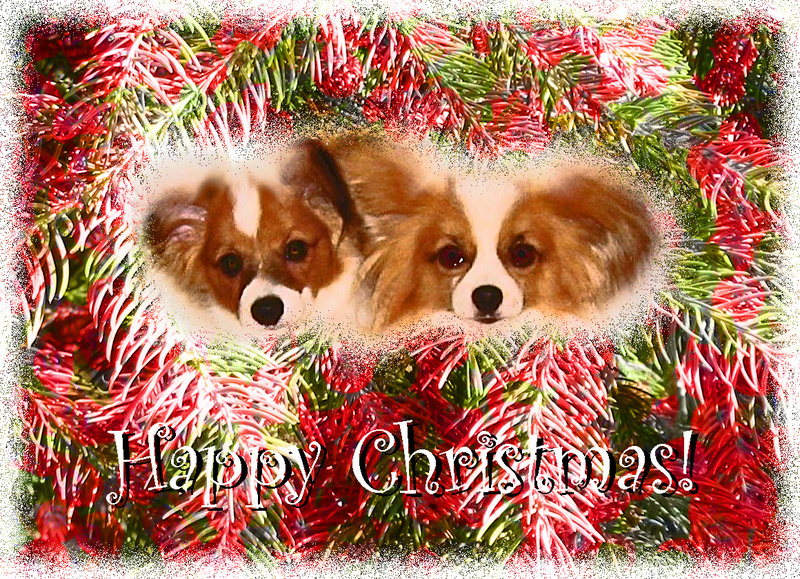 X7  Two cute babies - Examples of Papillonpourri Christmas Cards