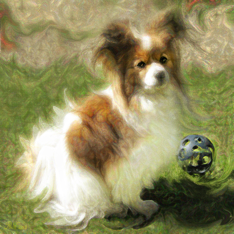 PP59 The Ball is All - Pet Portraits