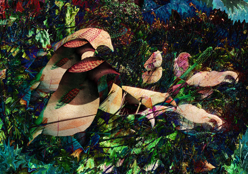 109 Lily-birds - Imaginative, Meditative or Mystical