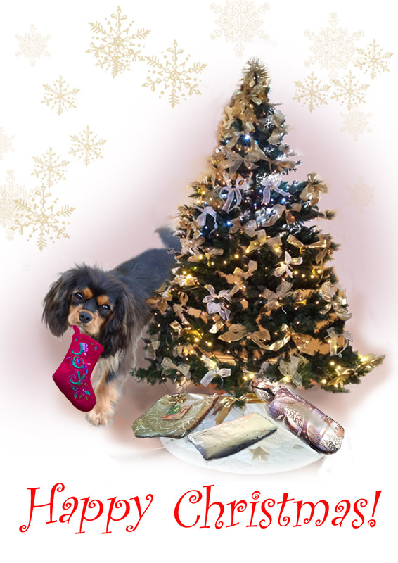 X46  A King Charles puppy looking hopeful - Examples of Papillonpourri Christmas Cards