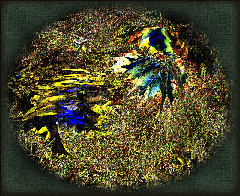 106 Forest Rhapsody - Imaginative, Meditative or Mystical