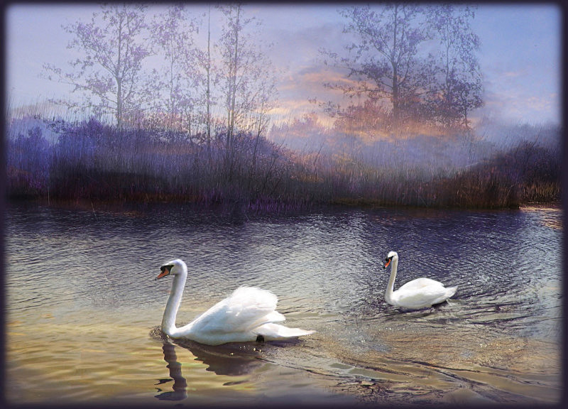 Dusk on the river - General Greetings Cards