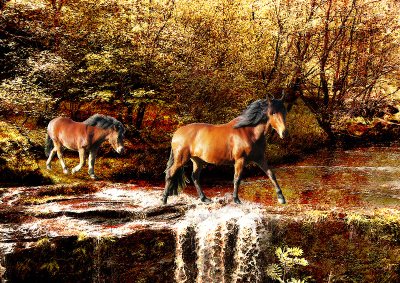 A21  Crossing the Ford    (A4) - Horses, other animals, and birds
