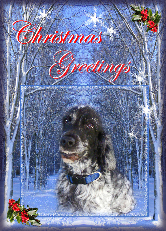 X34 Christmas Twilight - Examples of Papillonpourri Christmas Cards