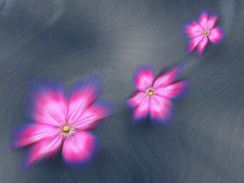 M40 Clematis floating - Imaginative, Meditative or Mystical