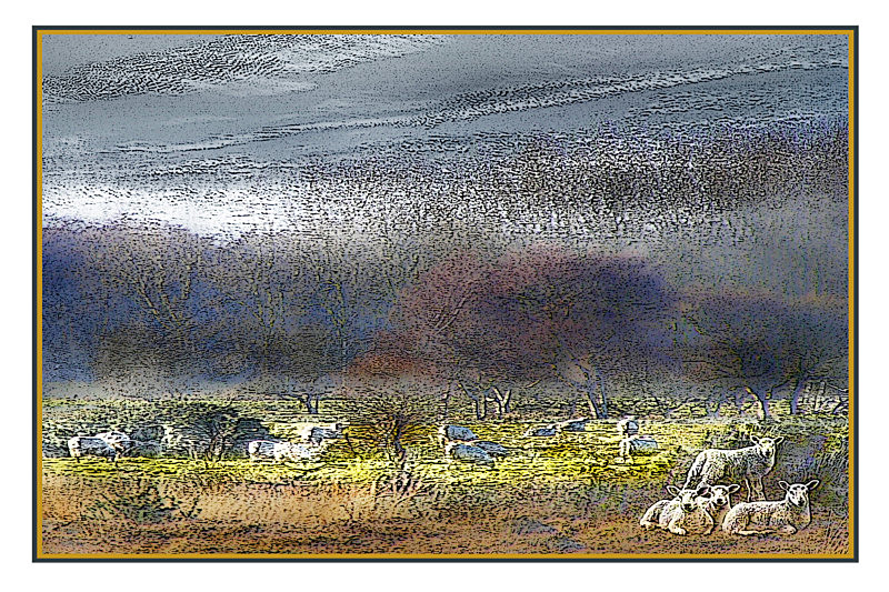 Winter Dawn - General Greetings Cards