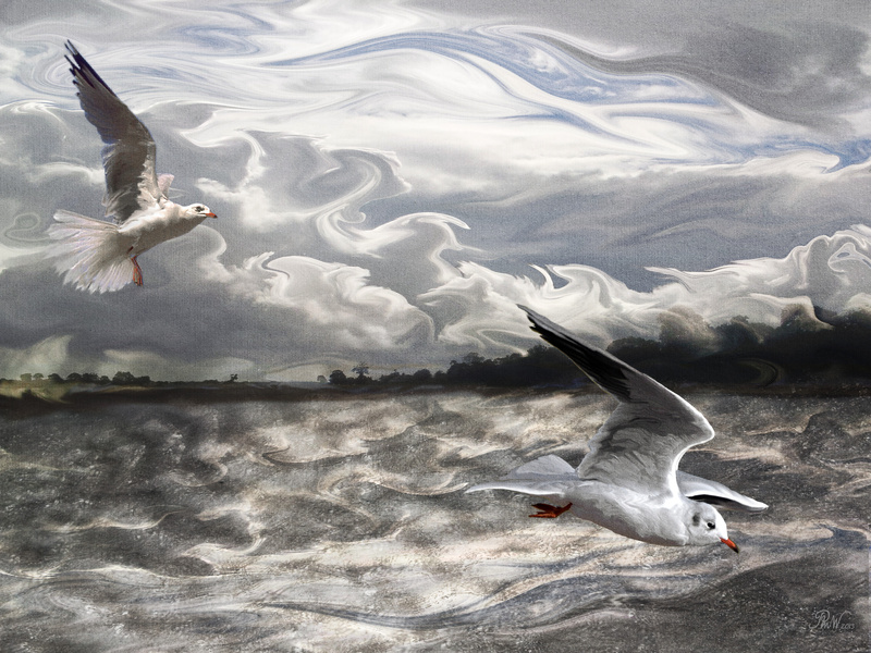NB4  Storm Brewing - Moods and Magic of the Norfolk Broads