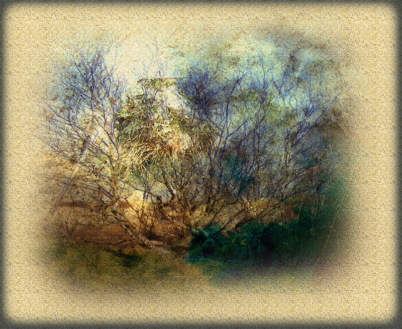 99 Mini-canvas 2, 'Thicket' - Imaginative, Meditative or Mystical