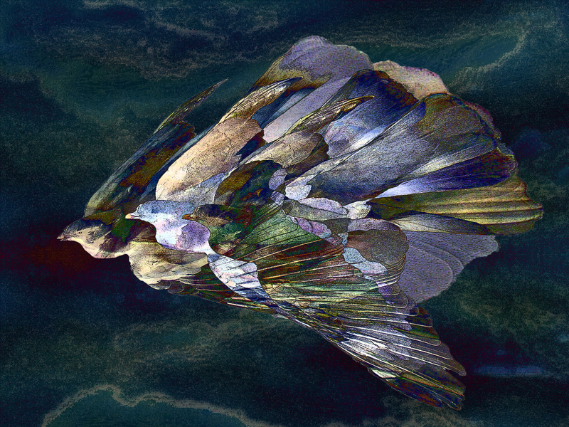 F35 Night Flight - Imaginative, Meditative or Mystical