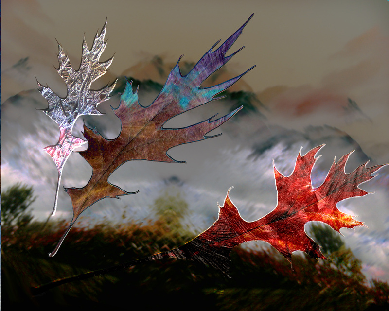 F23  Autumn's Last Dance  (10x8) - Imaginative, Meditative or Mystical